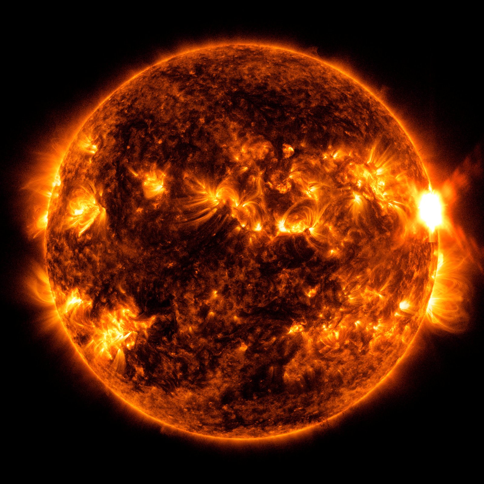 An orange extreme-ultraviolet view of the Sun with a bright solar flare on Aug. 5, 2023, from NASA’s Solar Dynamics Observatory.