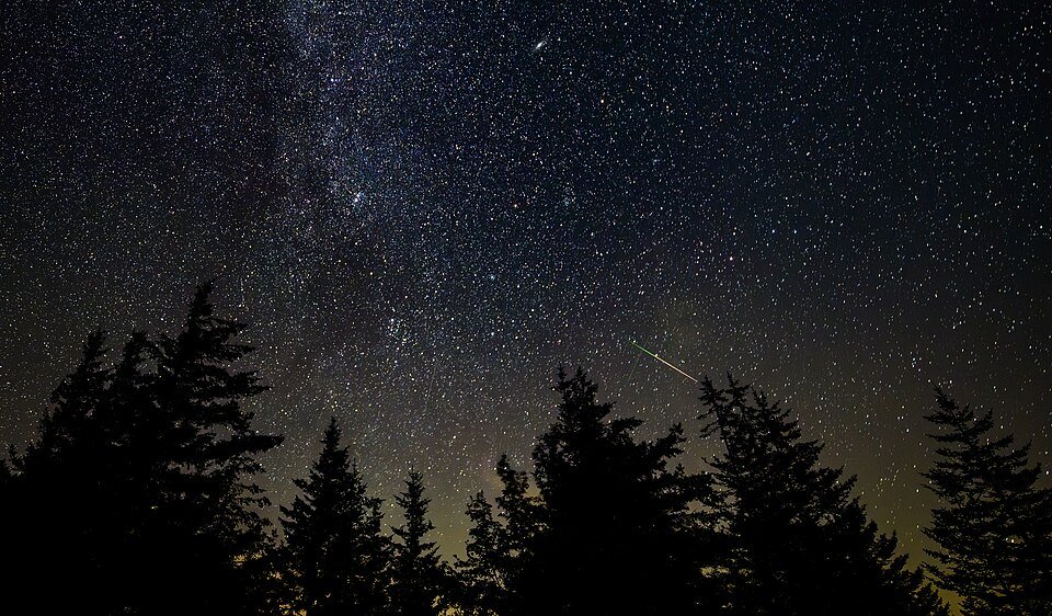 A meteor streak crosses a star-filled sky above dark trees at Spruce Knob.